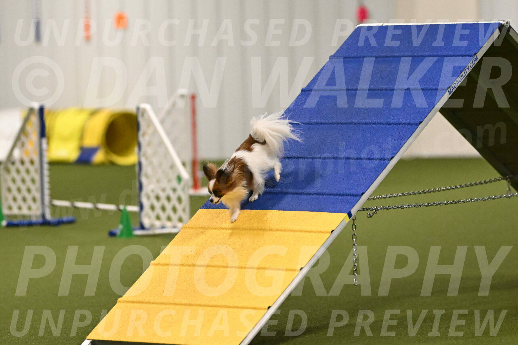Mazie-Melinda-Sanford-05866