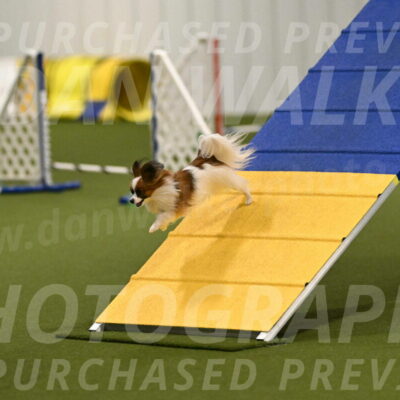 Mazie-Melinda-Sanford-05867