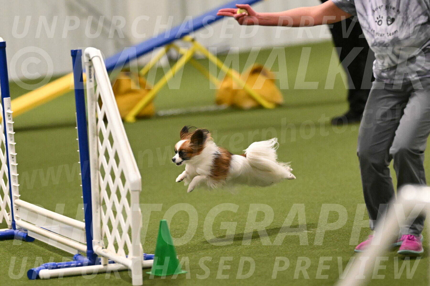Mazie-Melinda-Sanford-05868