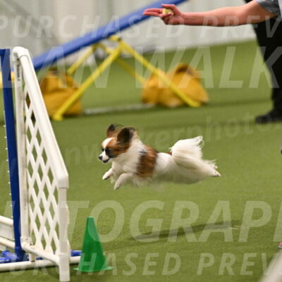 Mazie-Melinda-Sanford-05868