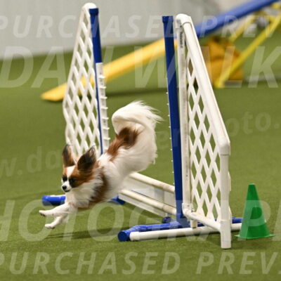 Mazie-Melinda-Sanford-05869