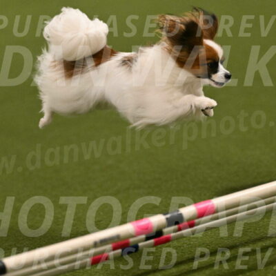 Mazie-Melinda-Sanford-05870