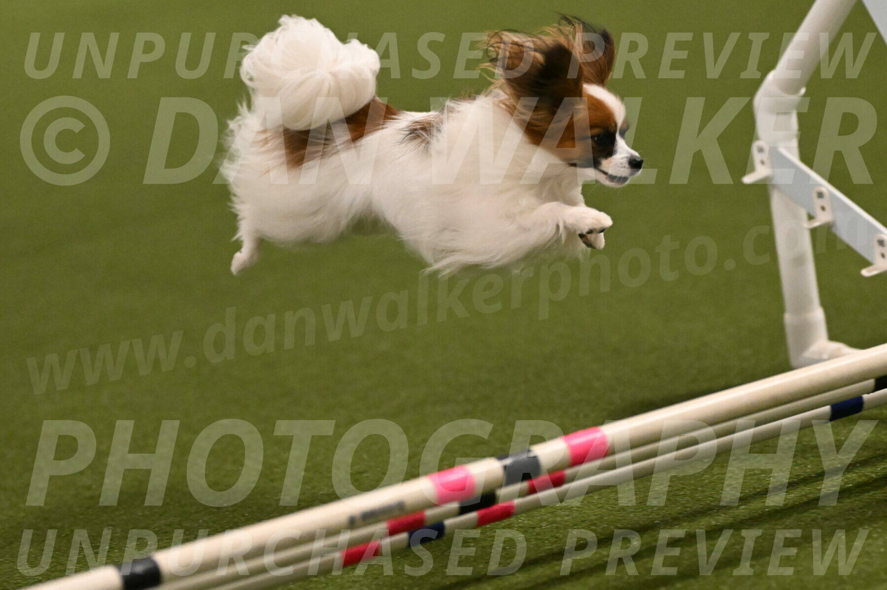 Mazie-Melinda-Sanford-05870