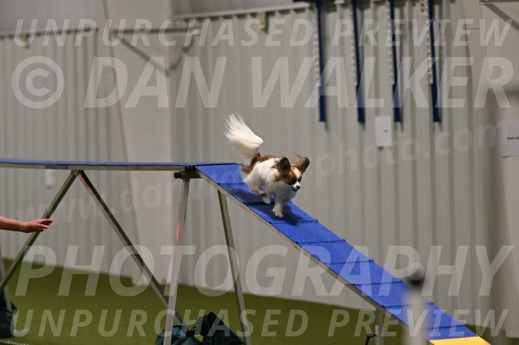 Mazie-Melinda-Sanford-05871