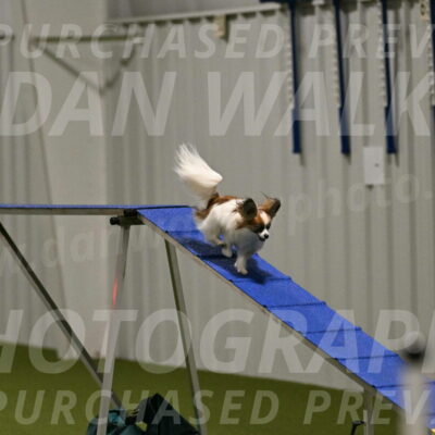 Mazie-Melinda-Sanford-05871