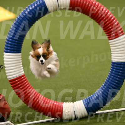 Mazie-Melinda-Sanford-05874