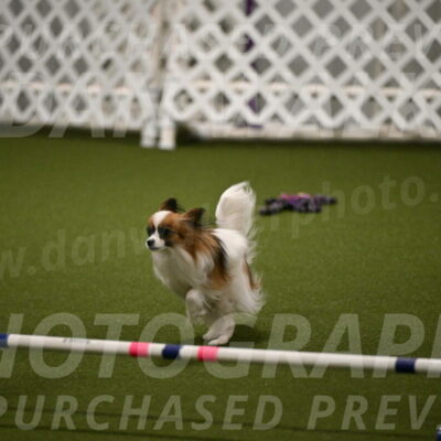 Mazie-Melinda-Sanford-05875