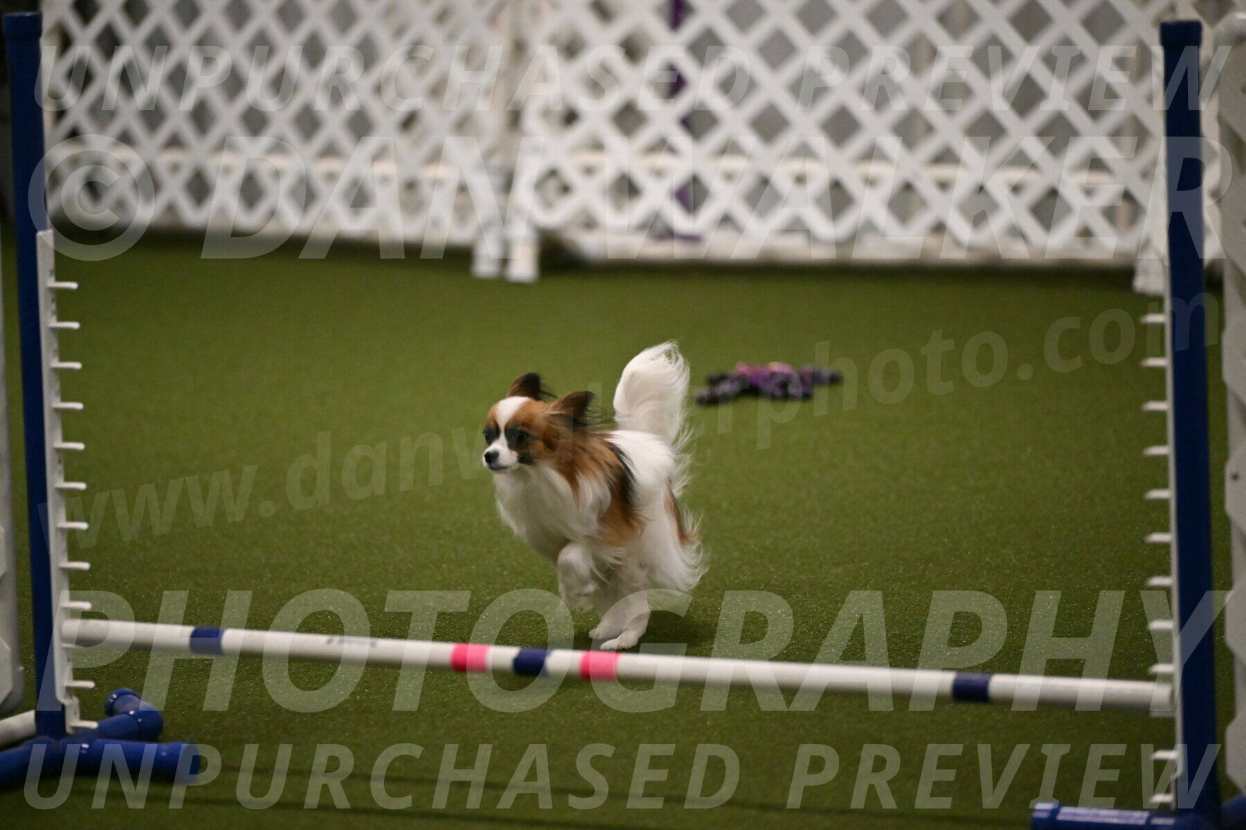 Mazie-Melinda-Sanford-05875