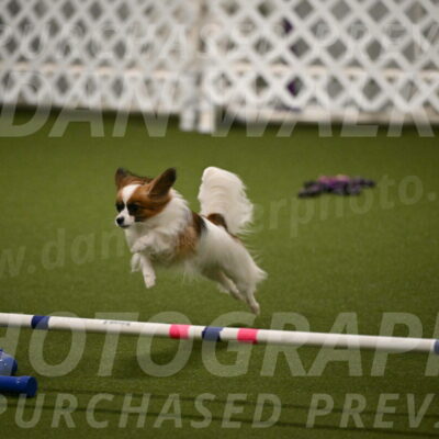 Mazie-Melinda-Sanford-05876
