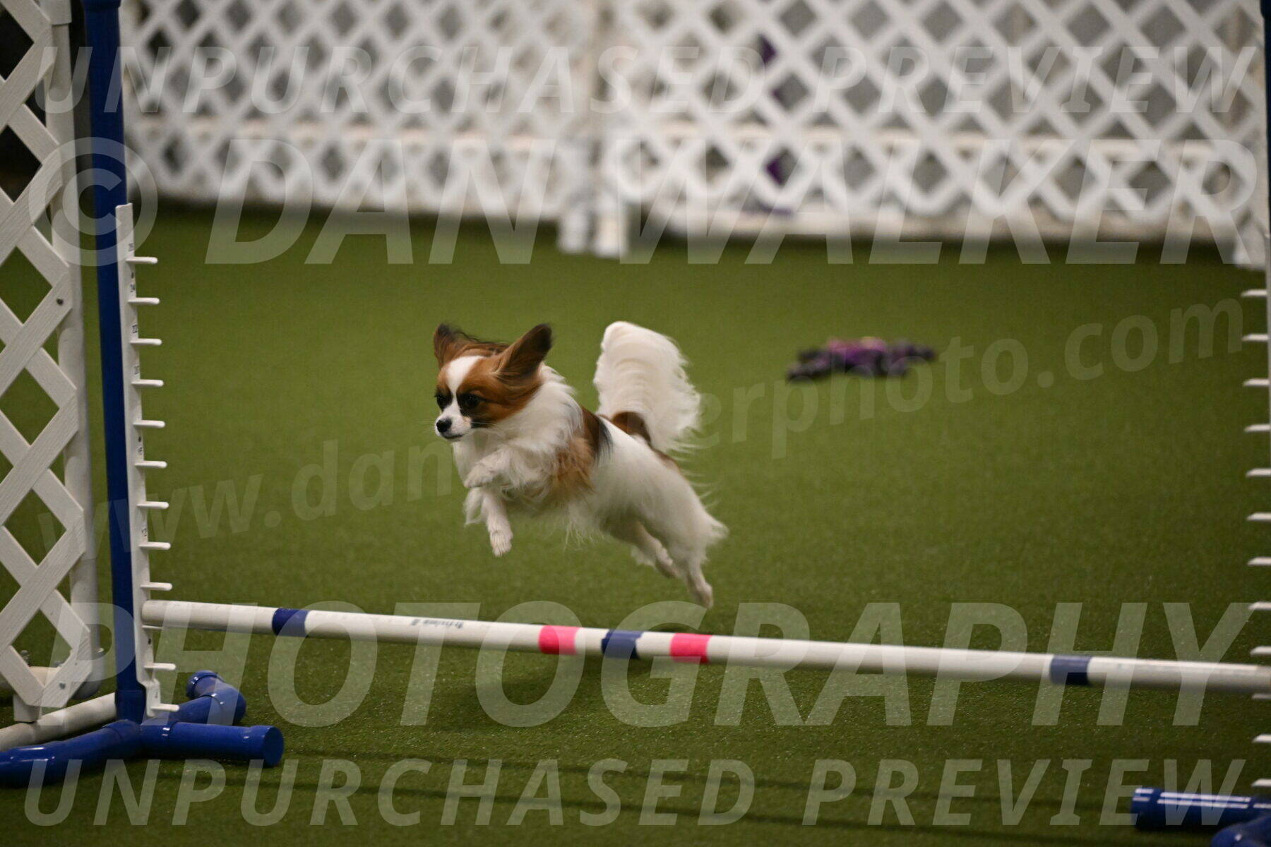 Mazie-Melinda-Sanford-05876