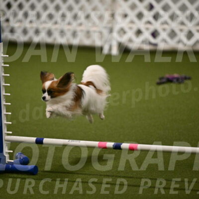 Mazie-Melinda-Sanford-05877