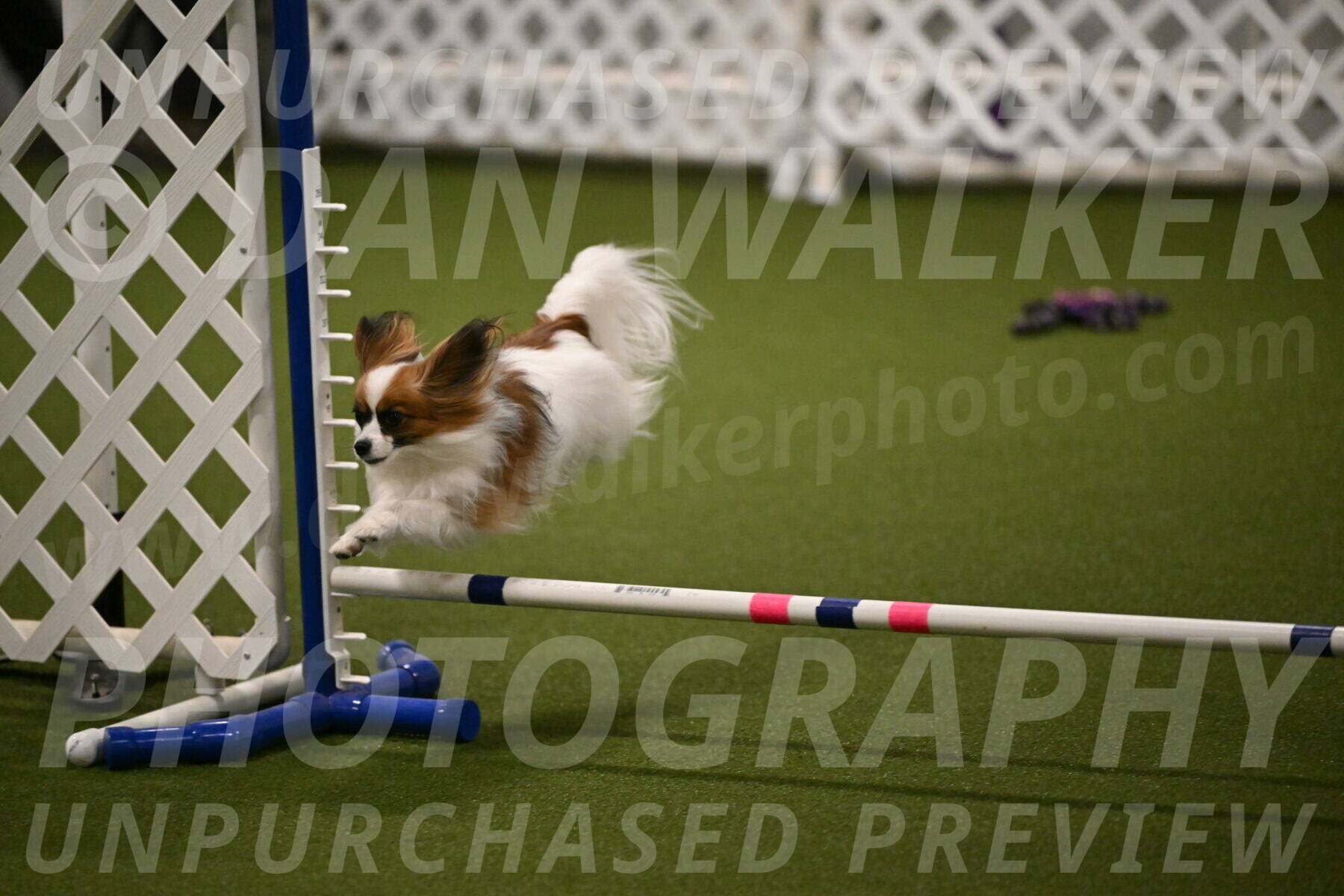 Mazie-Melinda-Sanford-05878