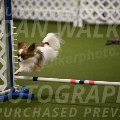 Mazie-Melinda-Sanford-05878