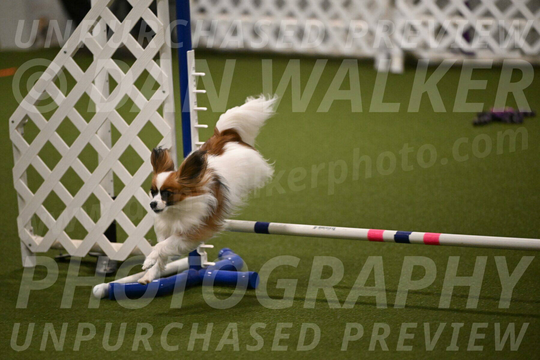 Mazie-Melinda-Sanford-05879