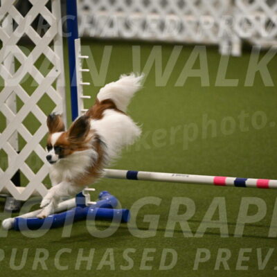 Mazie-Melinda-Sanford-05879
