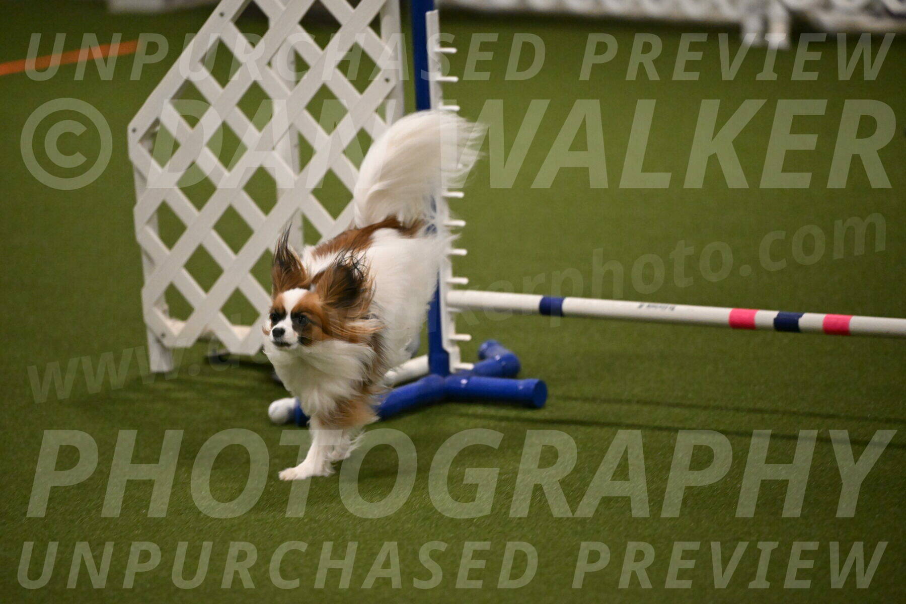 Mazie-Melinda-Sanford-05880