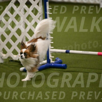 Mazie-Melinda-Sanford-05880