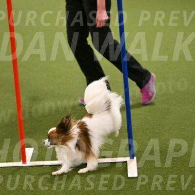 Mazie-Melinda-Sanford-05882