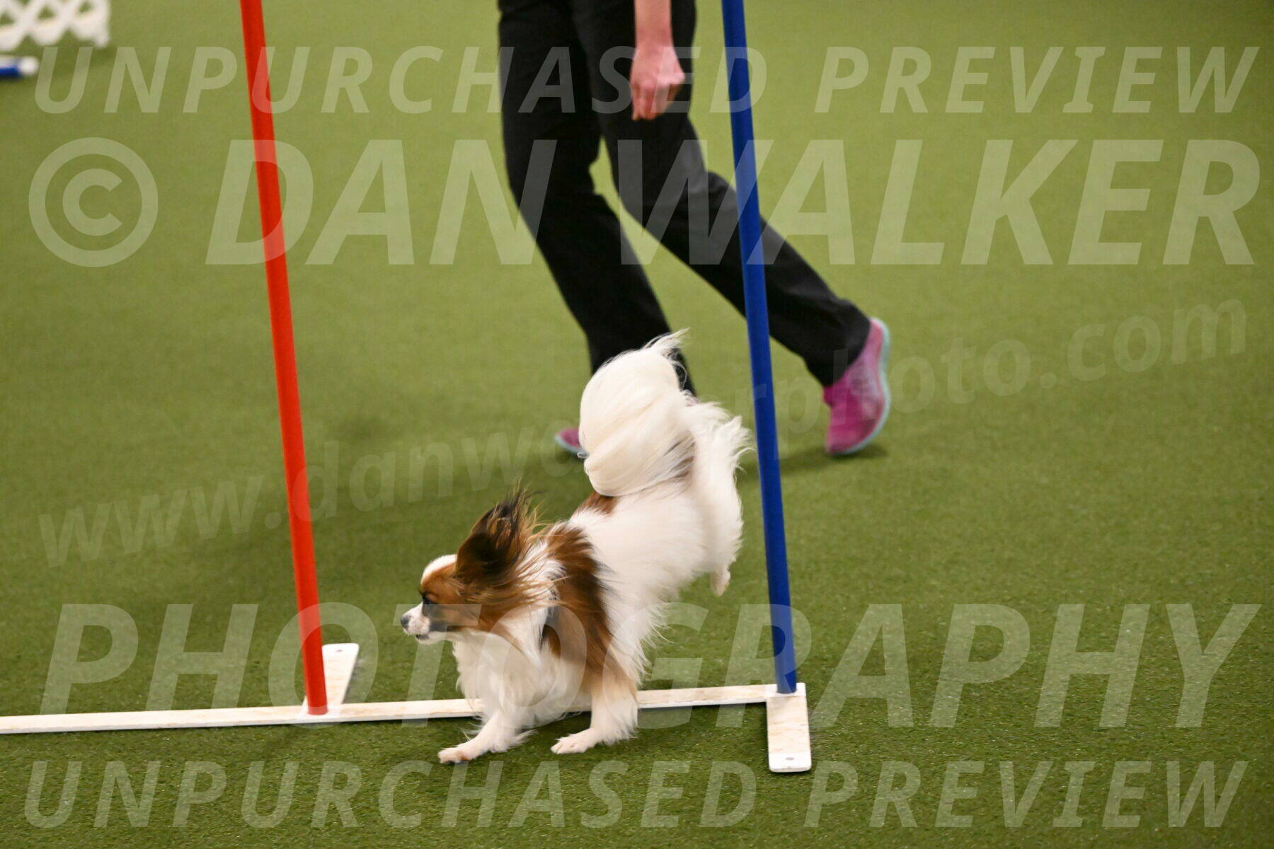 Mazie-Melinda-Sanford-05882