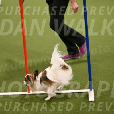 Mazie-Melinda-Sanford-05883