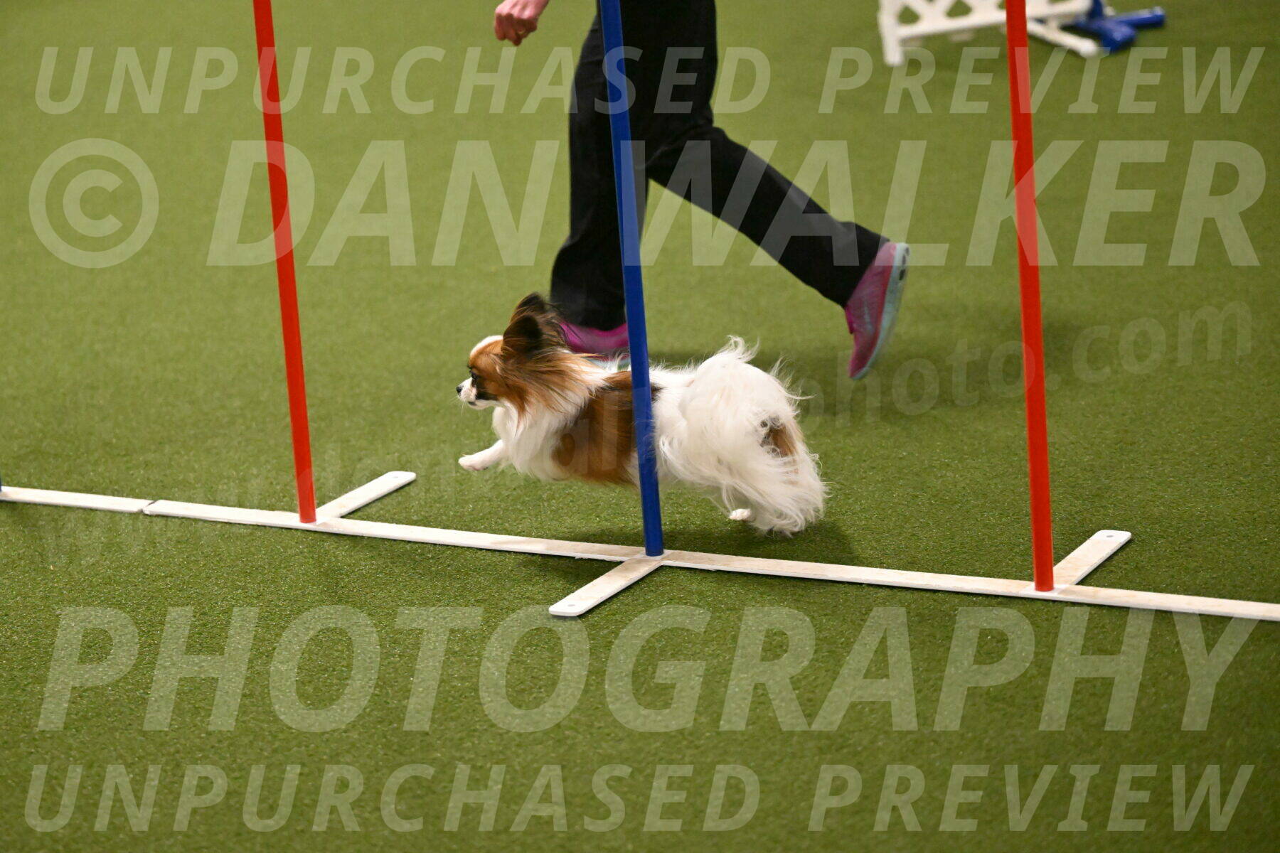 Mazie-Melinda-Sanford-05884