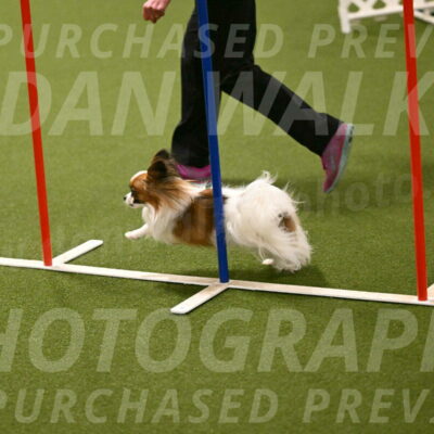Mazie-Melinda-Sanford-05884