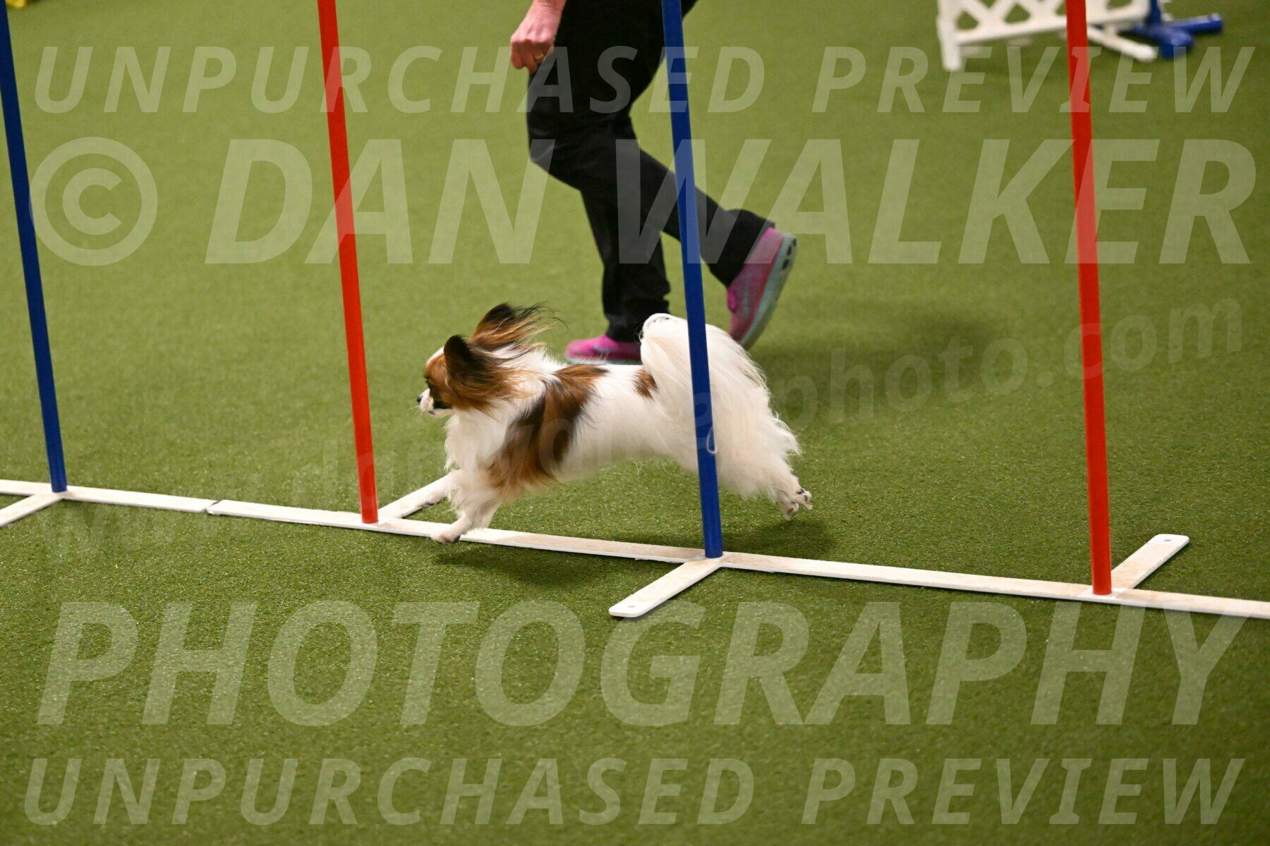 Mazie-Melinda-Sanford-05885