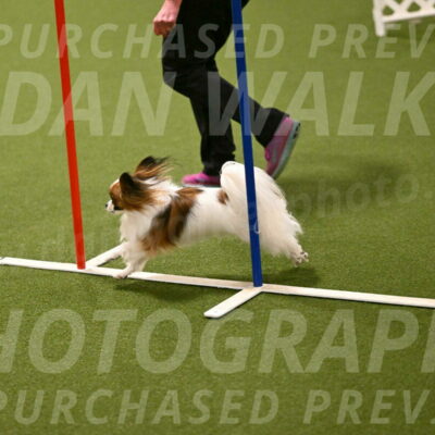 Mazie-Melinda-Sanford-05885