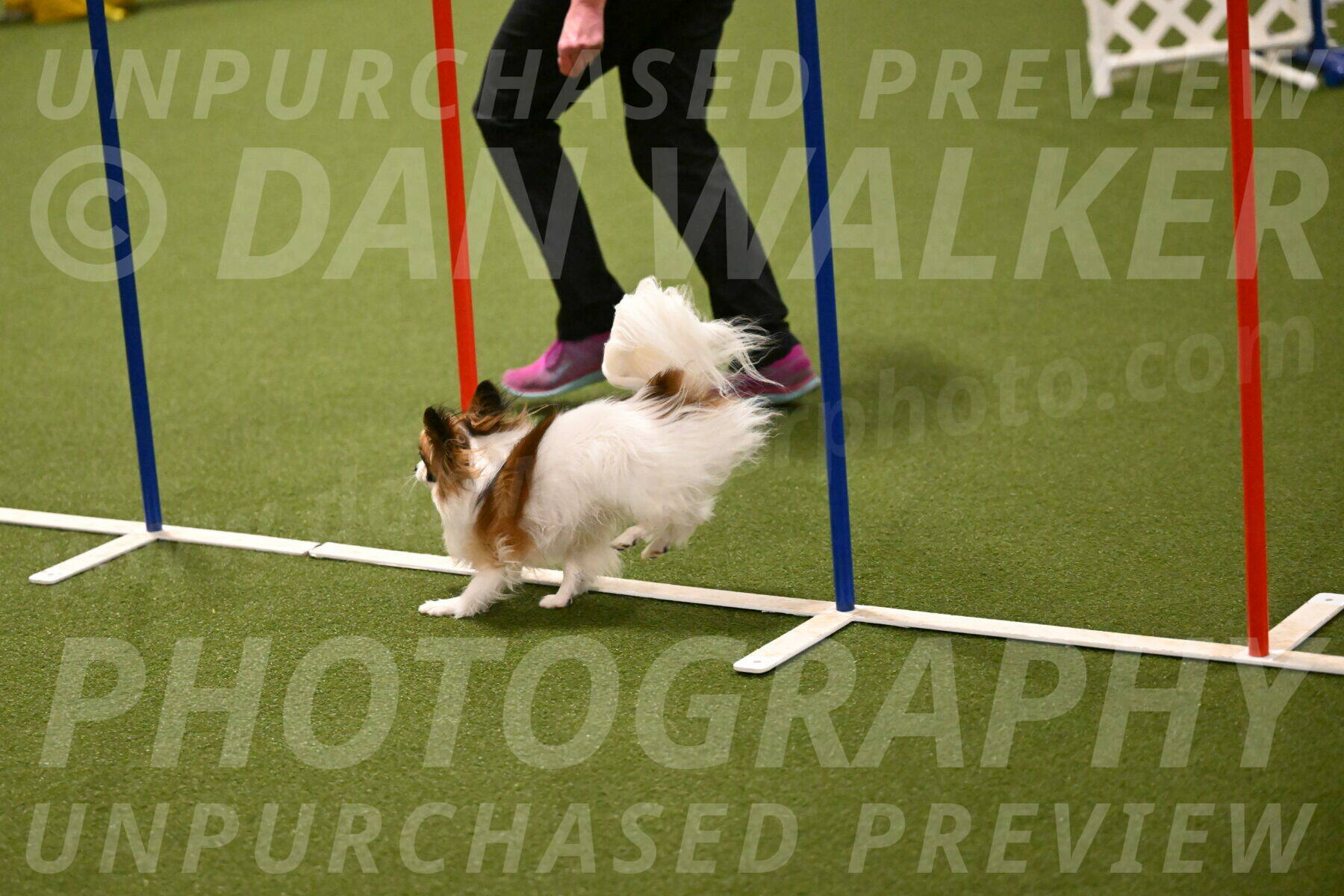 Mazie-Melinda-Sanford-05886