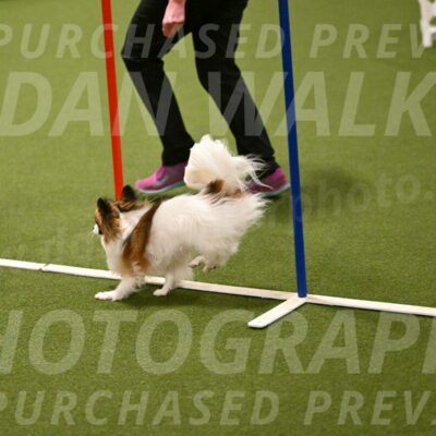 Mazie-Melinda-Sanford-05886