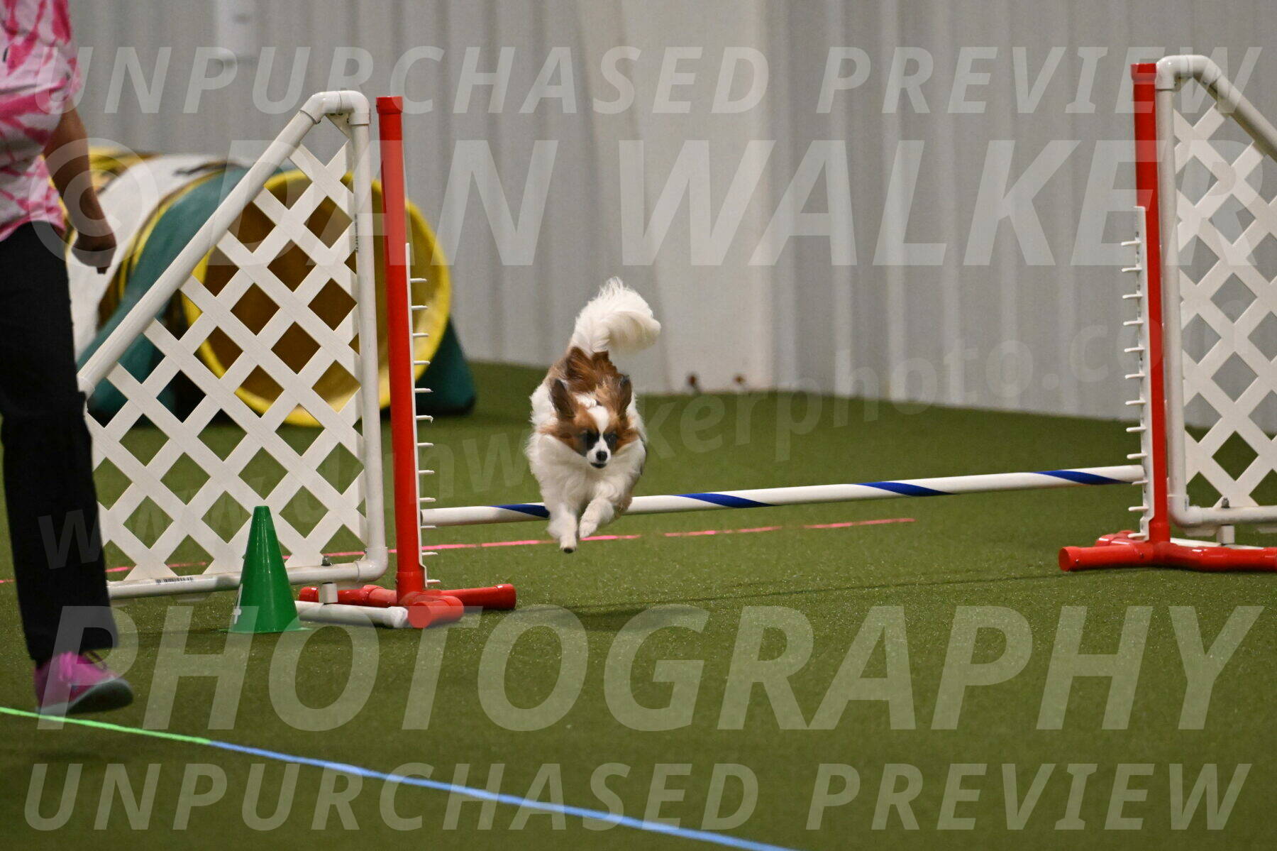 Mazie-Melinda-Sanford-05888