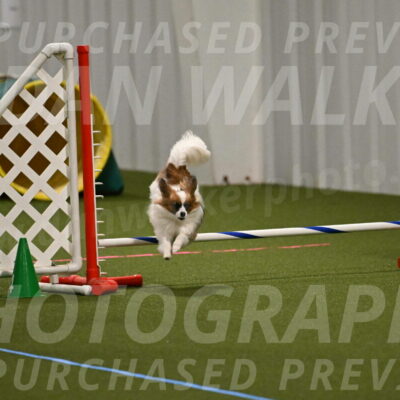 Mazie-Melinda-Sanford-05888