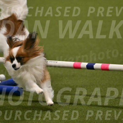 Mazie-Melinda-Sanford-05890