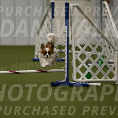 Mazie-Melinda-Sanford-05894