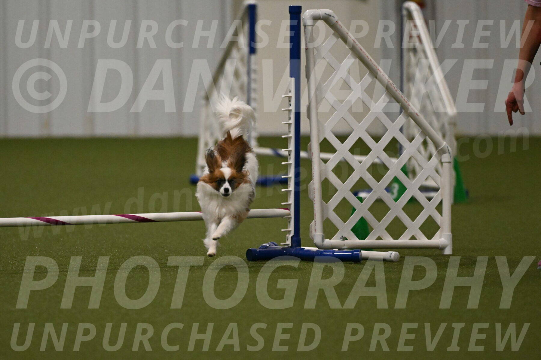 Mazie-Melinda-Sanford-05895