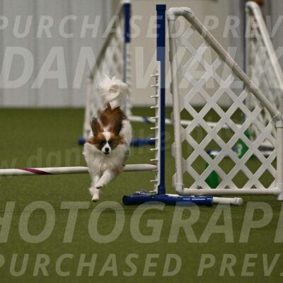 Mazie-Melinda-Sanford-05895