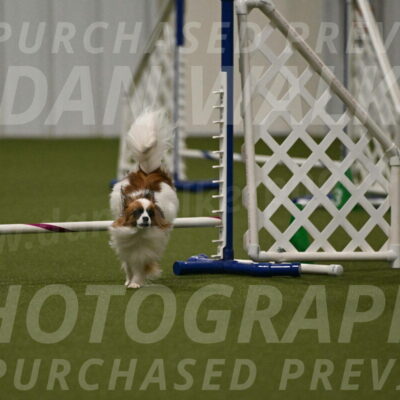 Mazie-Melinda-Sanford-05896