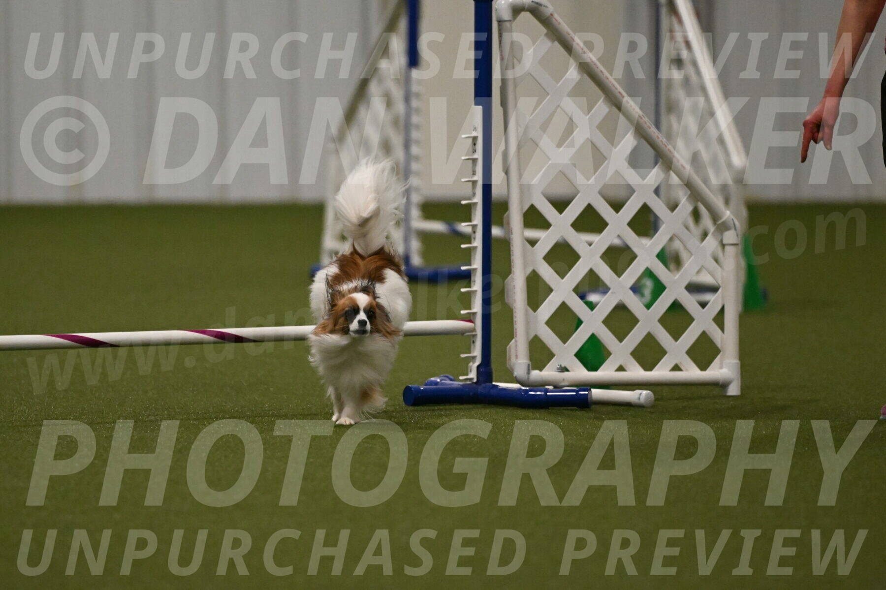 Mazie-Melinda-Sanford-05896