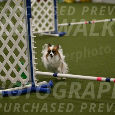 Mazie-Melinda-Sanford-05897