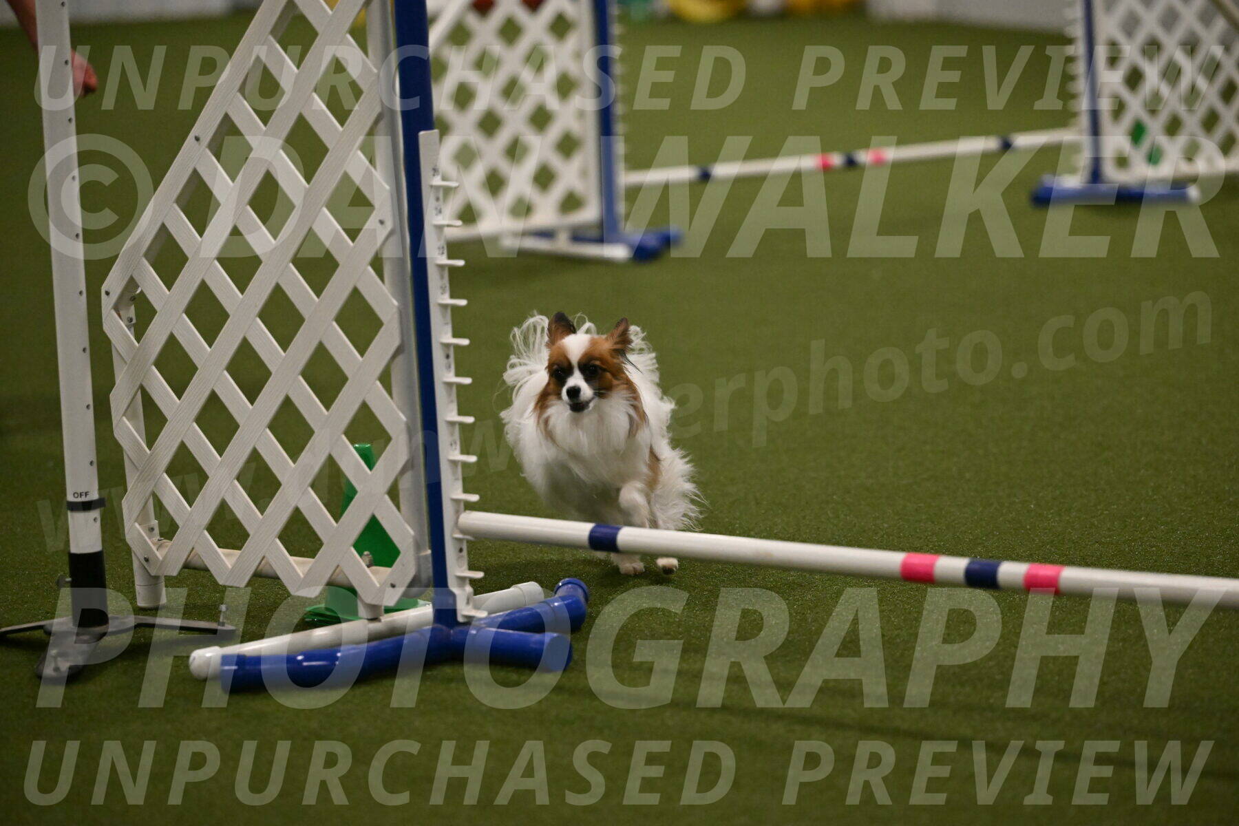 Mazie-Melinda-Sanford-05897