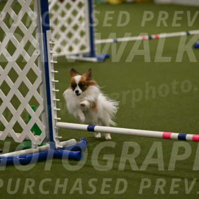 Mazie-Melinda-Sanford-05898
