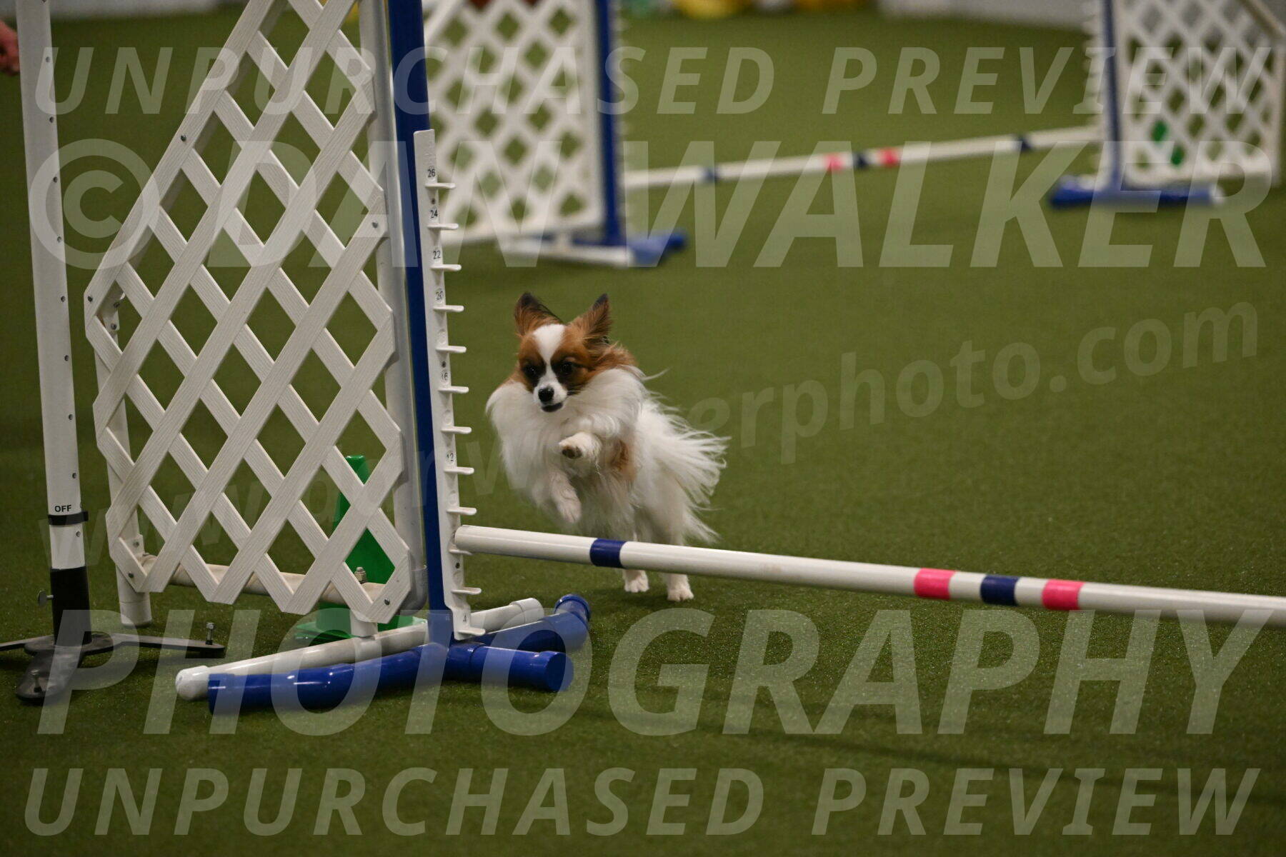Mazie-Melinda-Sanford-05898