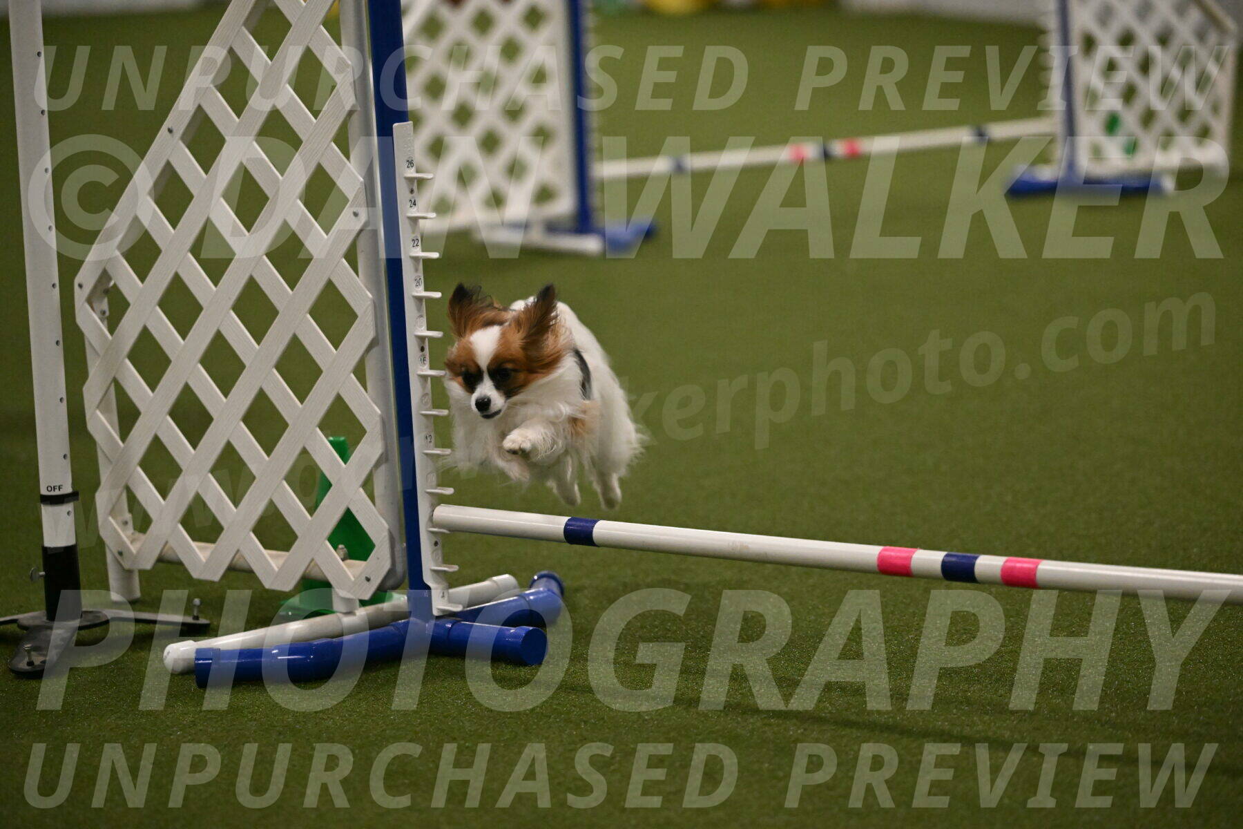 Mazie-Melinda-Sanford-05899