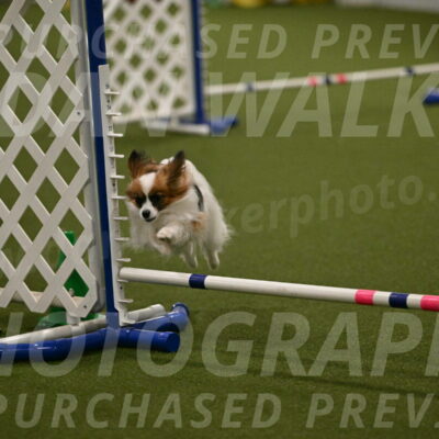 Mazie-Melinda-Sanford-05899