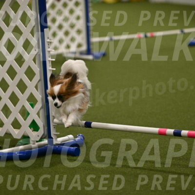 Mazie-Melinda-Sanford-05900
