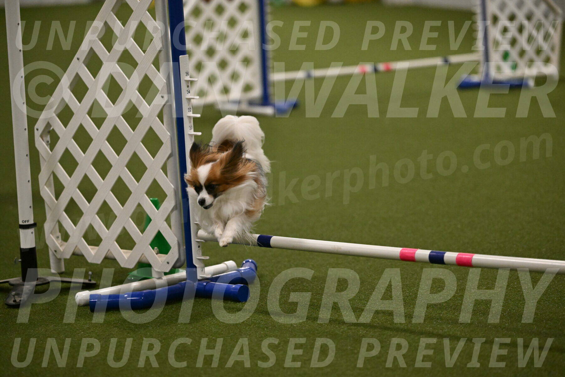 Mazie-Melinda-Sanford-05900