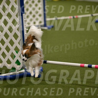 Mazie-Melinda-Sanford-05901