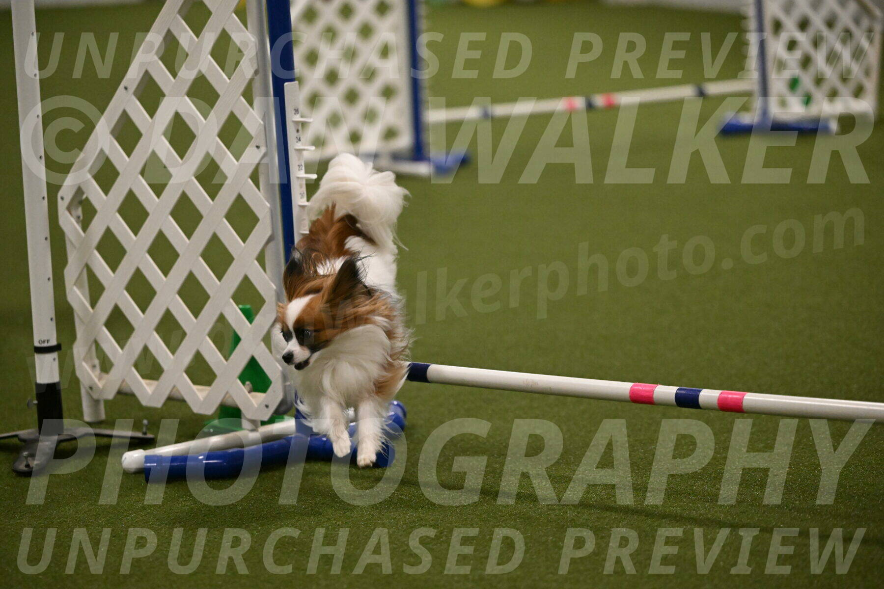 Mazie-Melinda-Sanford-05901
