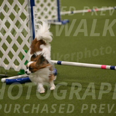 Mazie-Melinda-Sanford-05902