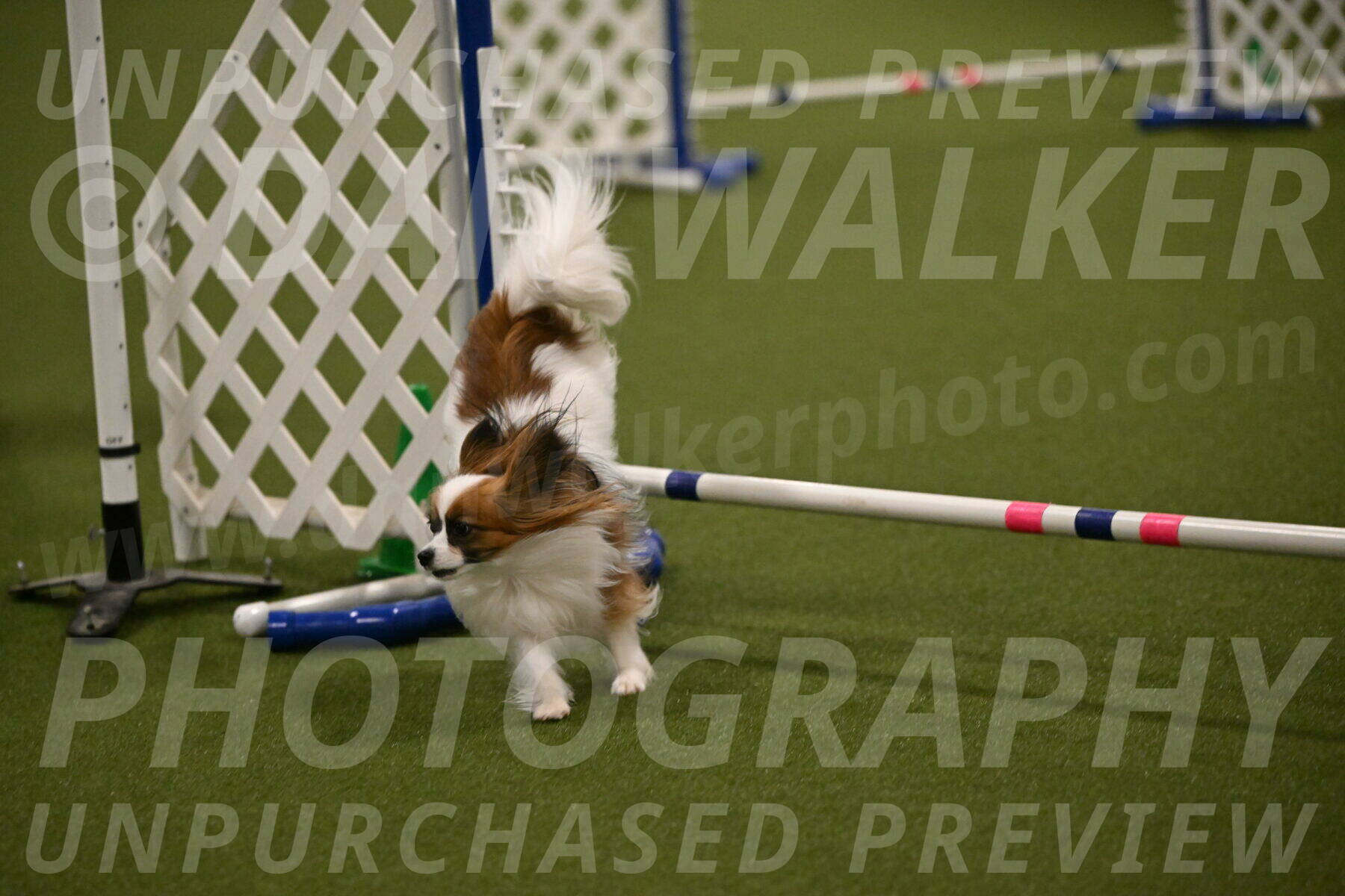 Mazie-Melinda-Sanford-05902